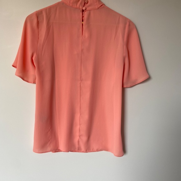 Pink Coral Chiffon Blouse - Picture 3 of 3